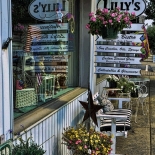 Lillys_Reflected-Waynesville 2